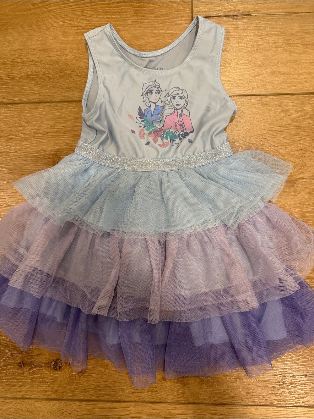 Disney Light Blue, Purple & Pink Tulle Princess Dress
